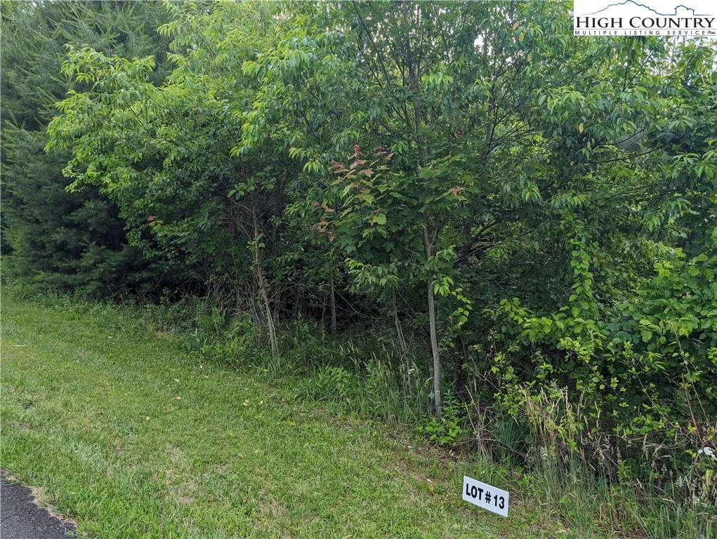 Image number 6 for the current listing
