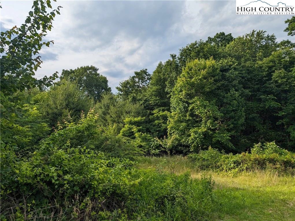 Image number 7 for the current listing