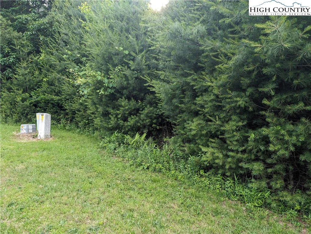 Image number 8 for the current listing