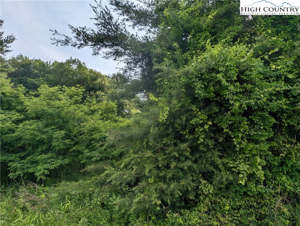 Image number 10 for the current listing