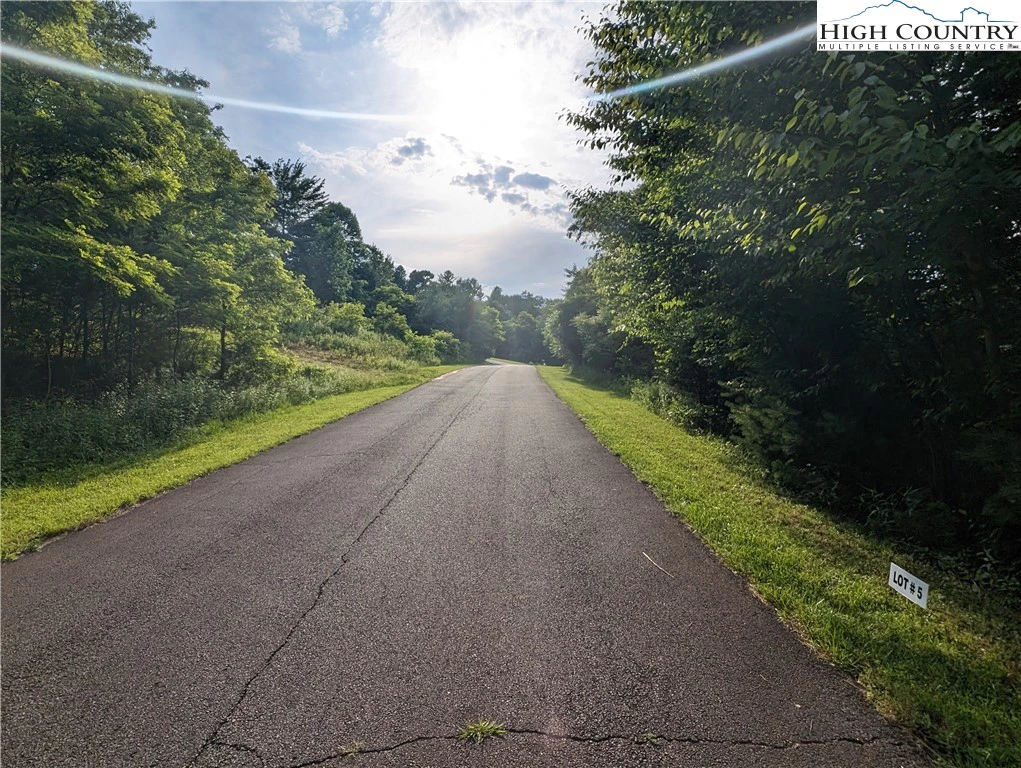 Image number 12 for the current listing