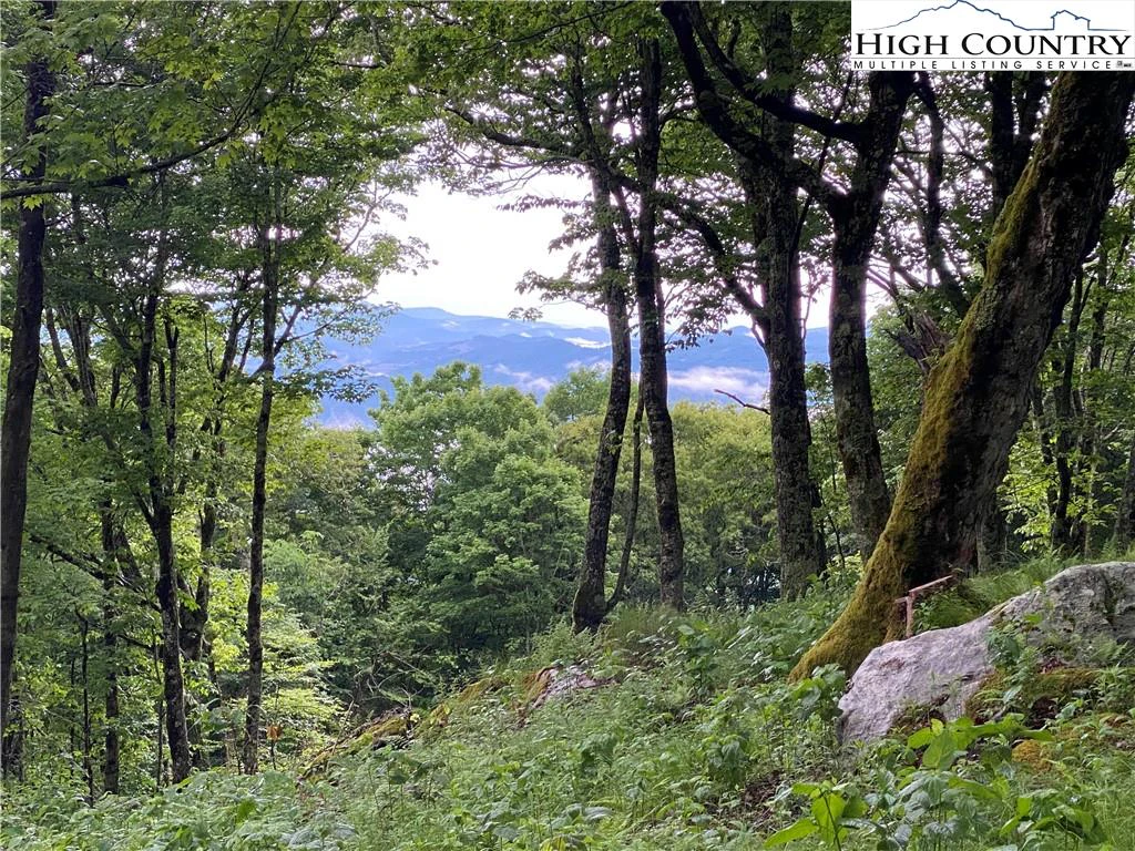 Image number 1 for the current listing