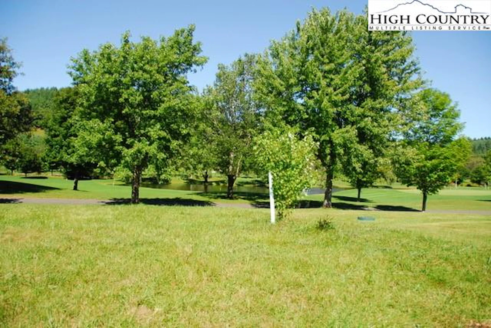 Image number 1 for the current listing
