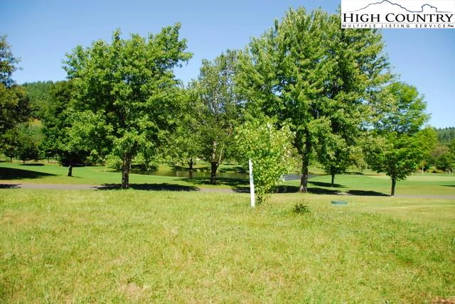 Image number 1 for the current listing