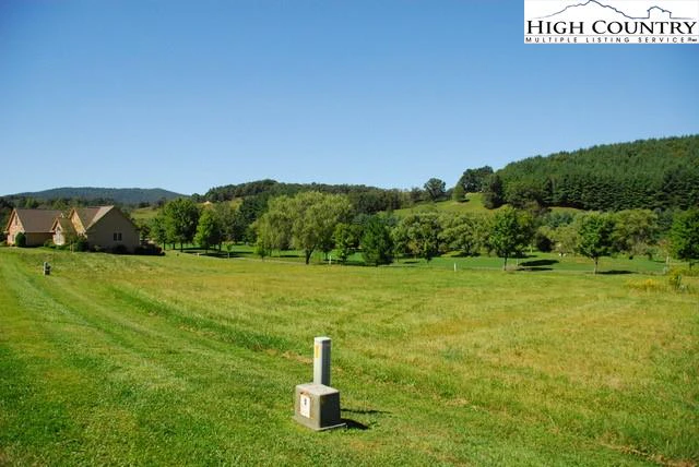 Image number 3 for the current listing