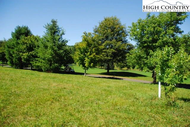 Image number 4 for the current listing