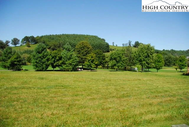 Image number 5 for the current listing