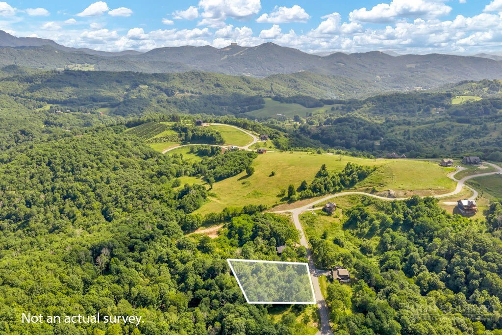 Image number 3 for the current listing