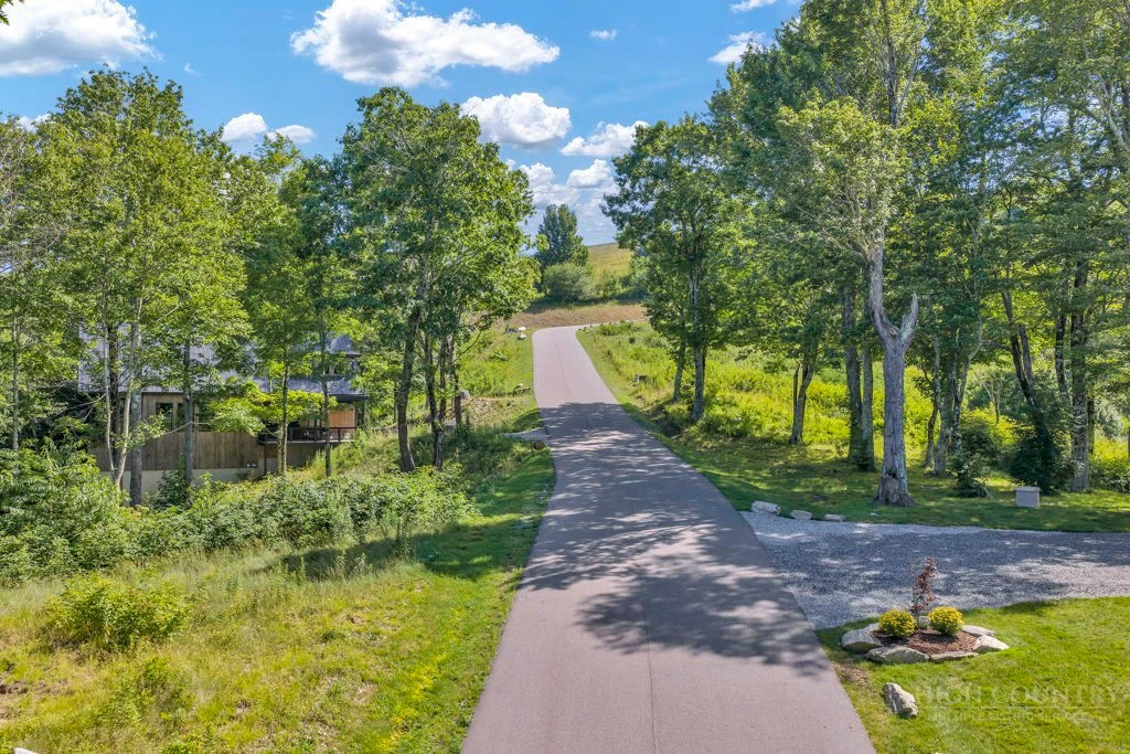 Image number 6 for the current listing
