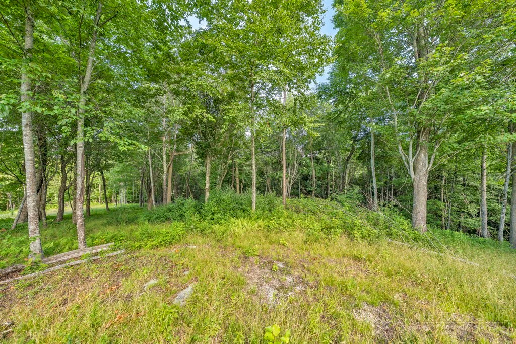 Image number 8 for the current listing