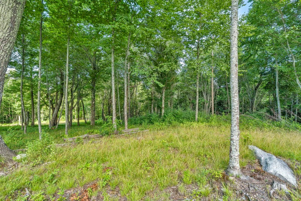 Image number 9 for the current listing