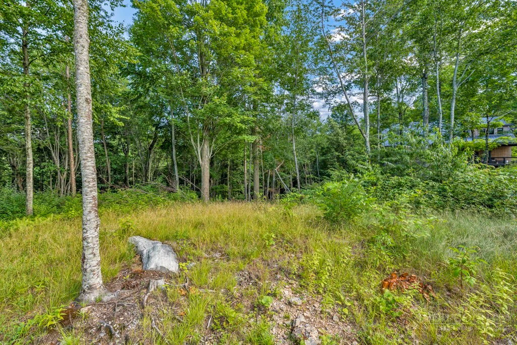 Image number 10 for the current listing
