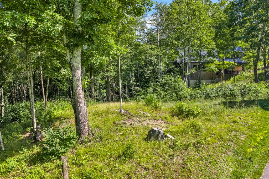 Image number 11 for the current listing