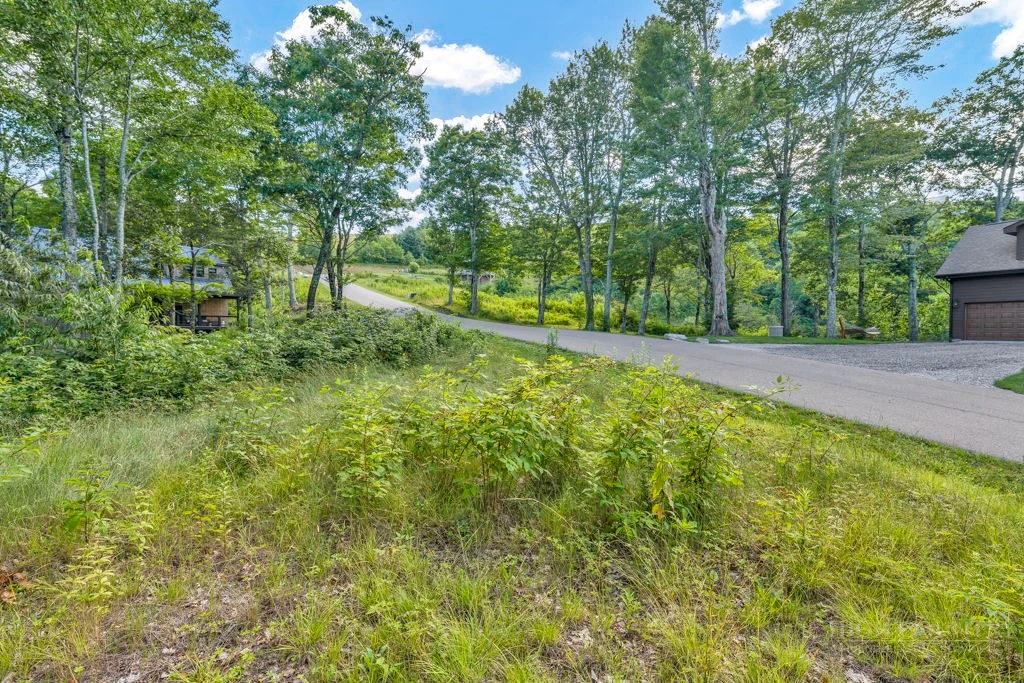 Image number 13 for the current listing