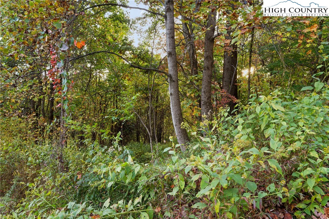 Image number 6 for the current listing