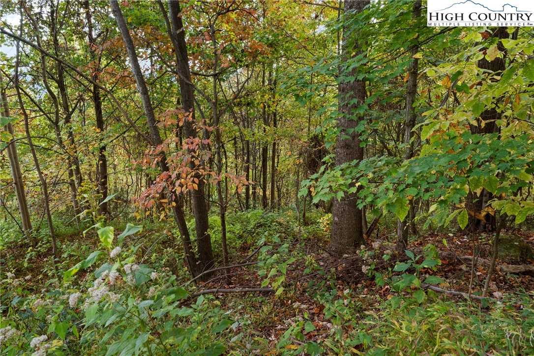 Image number 7 for the current listing