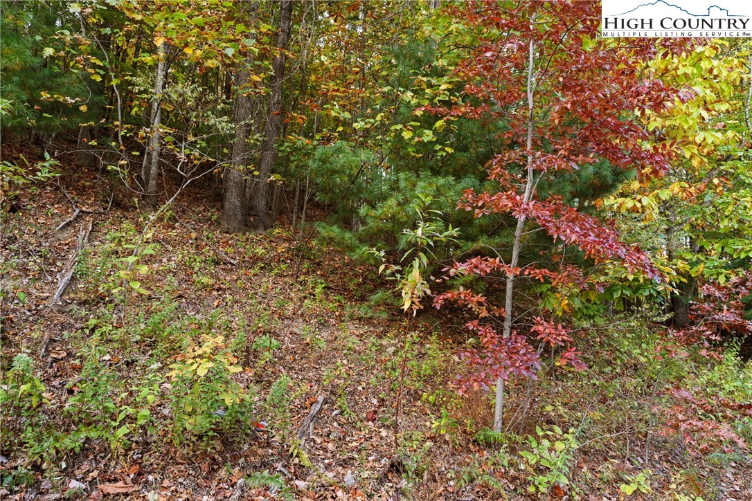 Image number 8 for the current listing