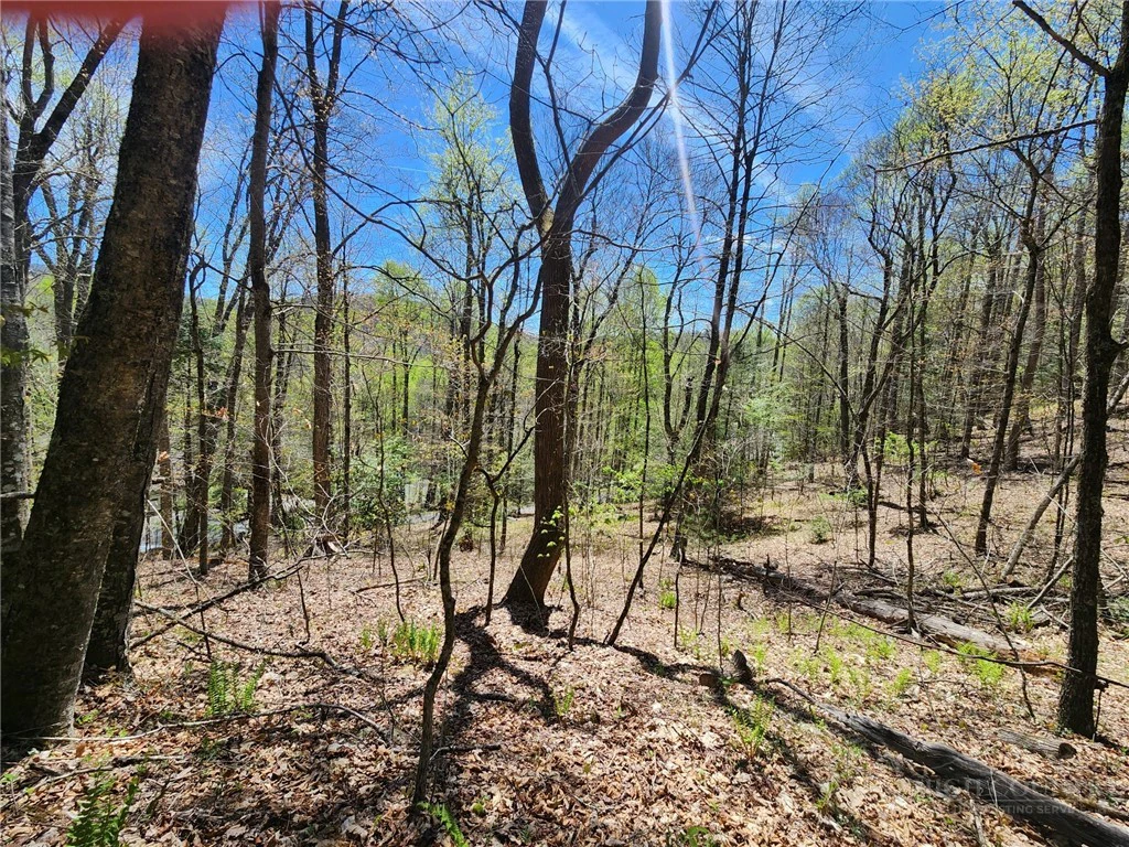 Image number 1 for the current listing
