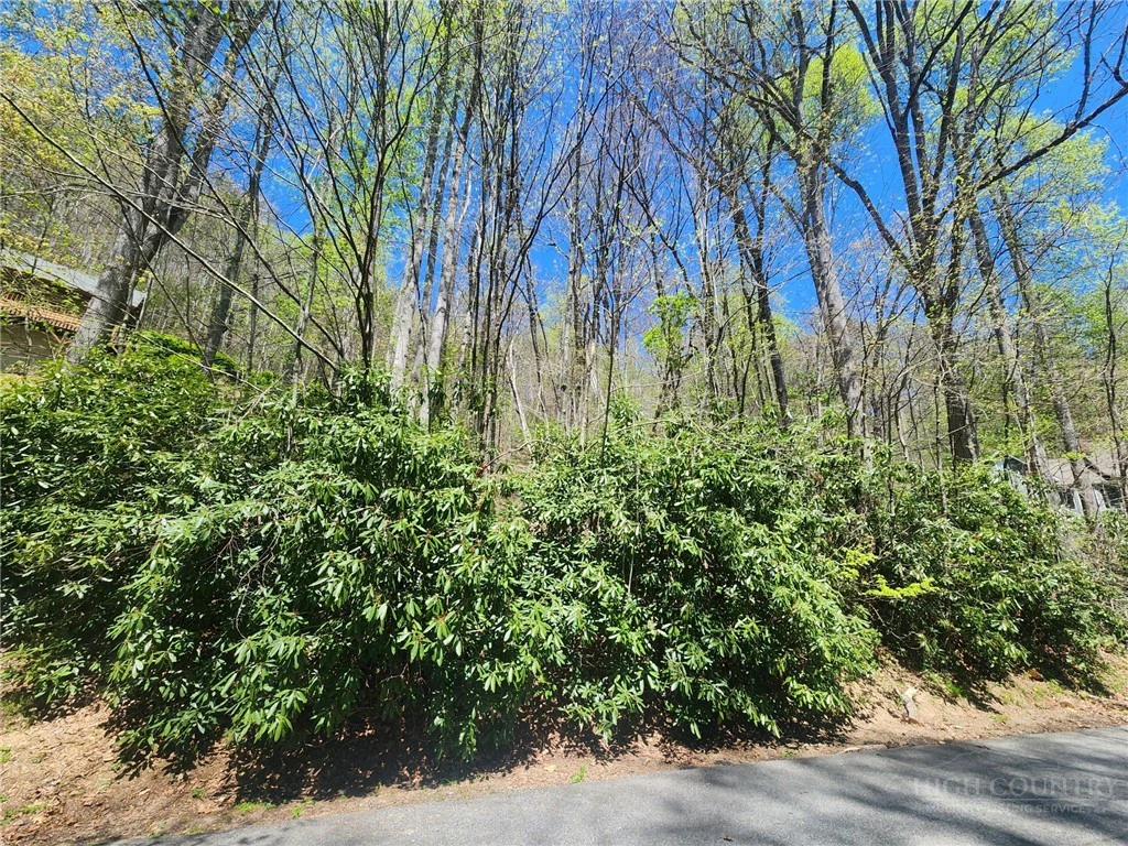 Image number 16 for the current listing