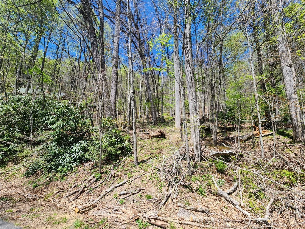 Image number 15 for the current listing