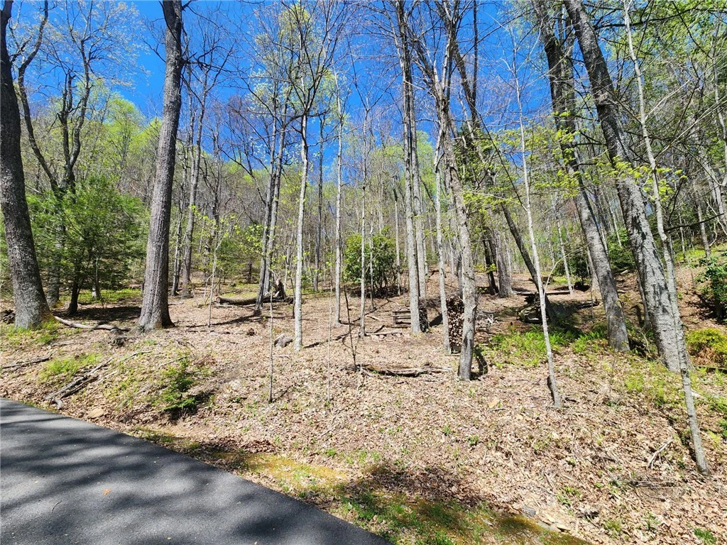 Image number 14 for the current listing