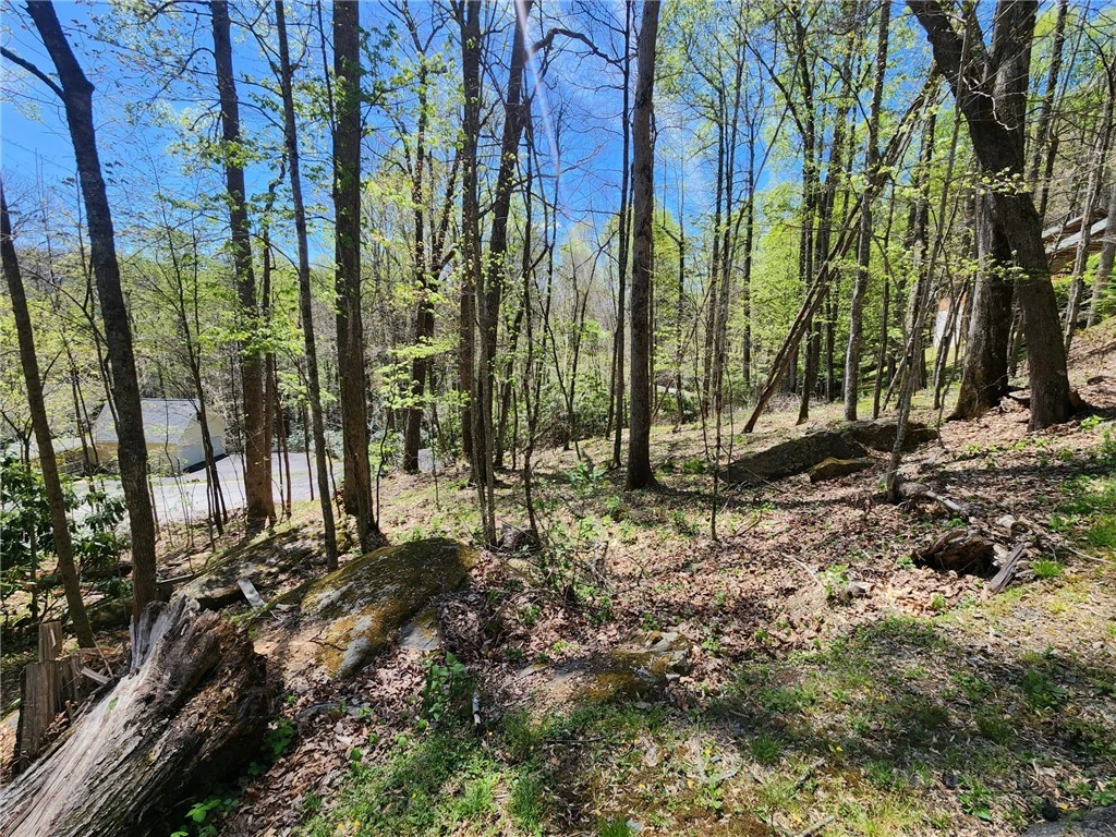 Image number 2 for the current listing