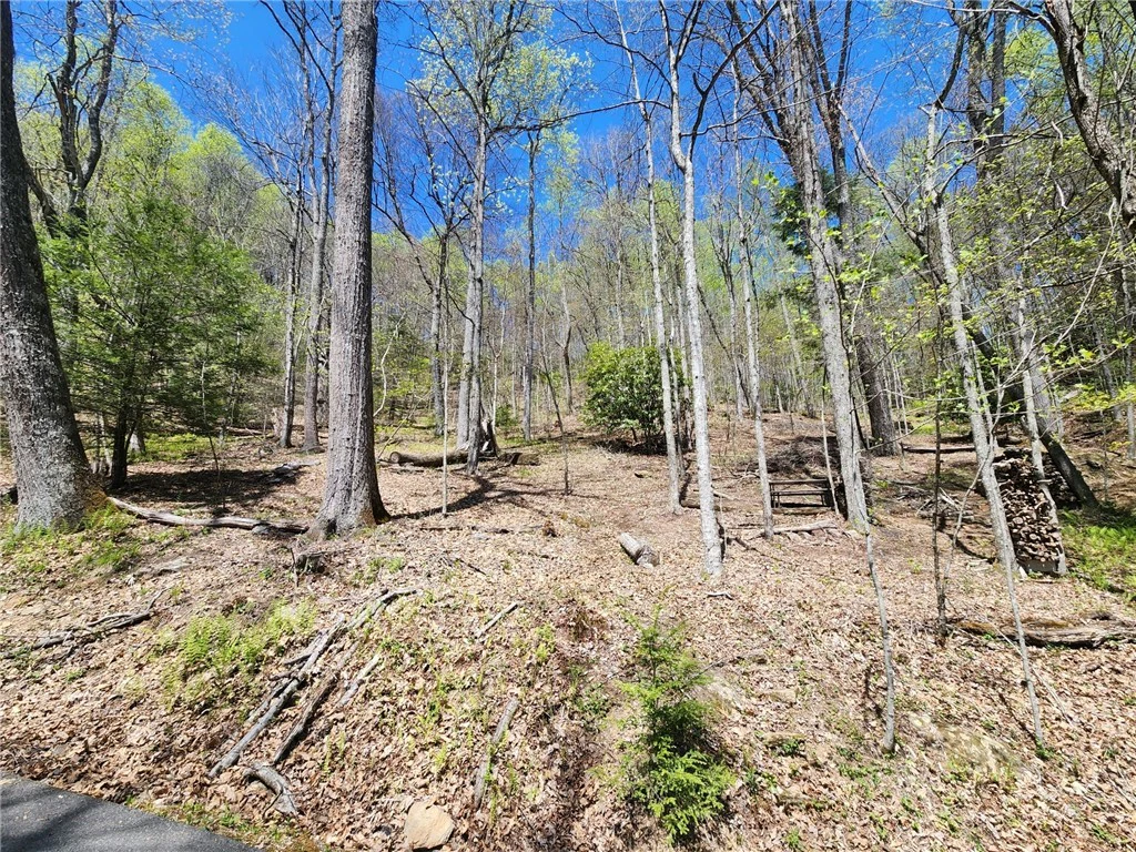 Image number 10 for the current listing