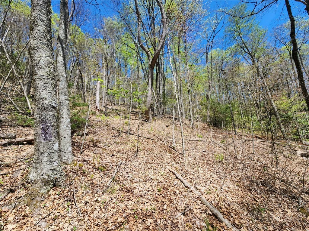 Image number 9 for the current listing