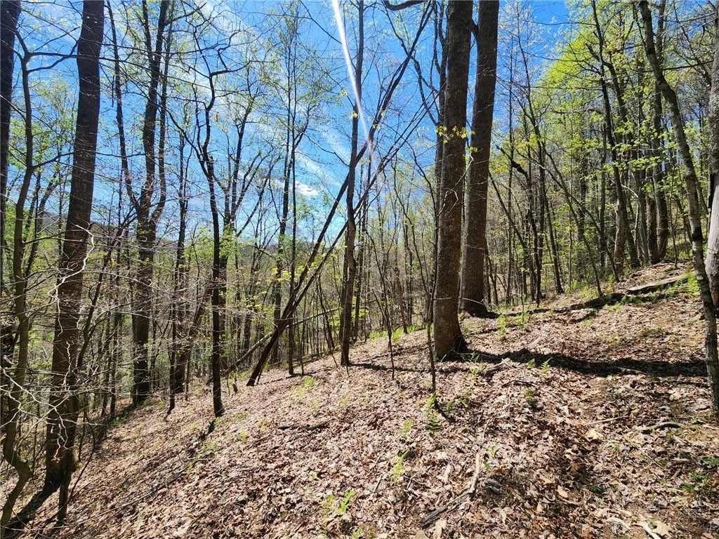 Image number 6 for the current listing