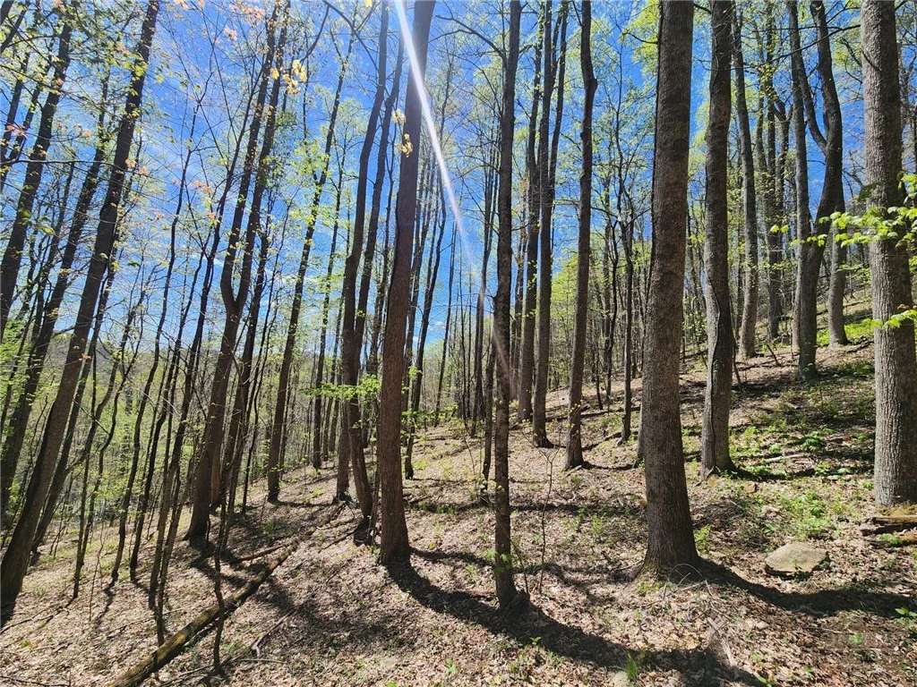 Image number 5 for the current listing