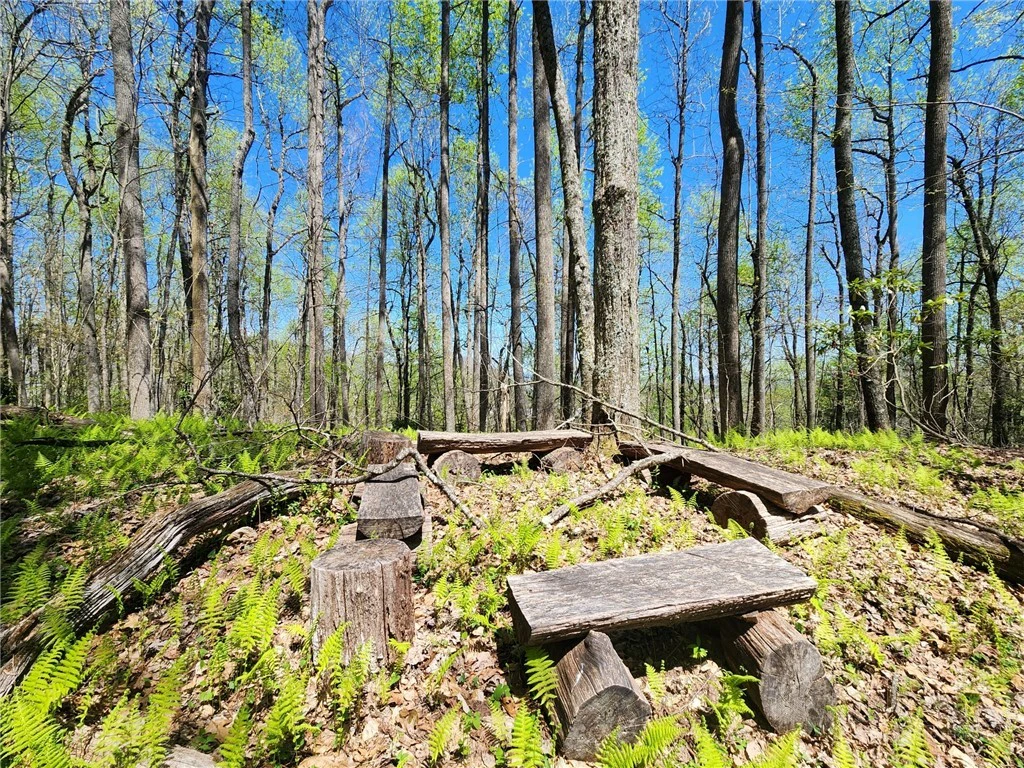 Image number 3 for the current listing