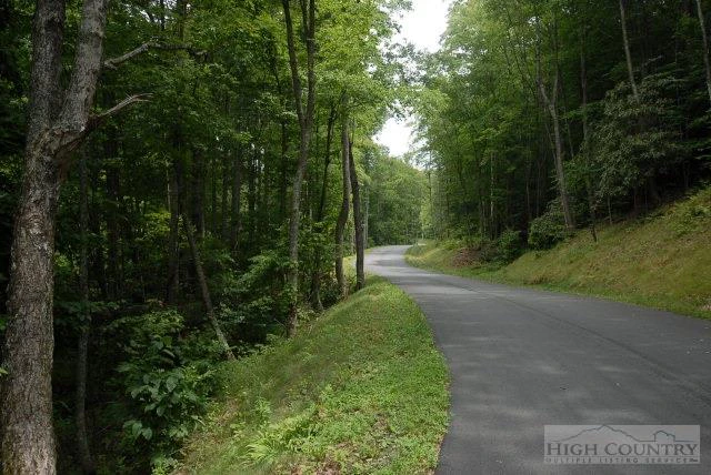 Image number 1 for the current listing