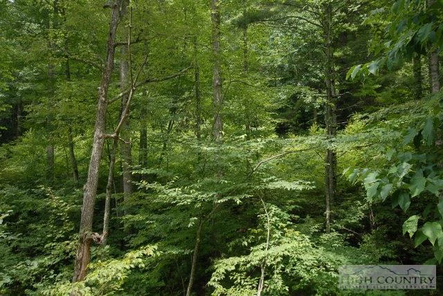 Image number 3 for the current listing