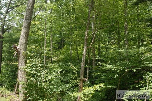 Image number 5 for the current listing