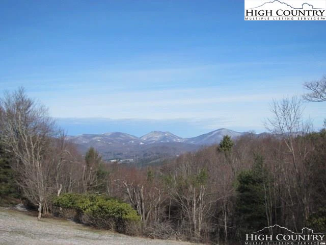 Image number 3 for the current listing