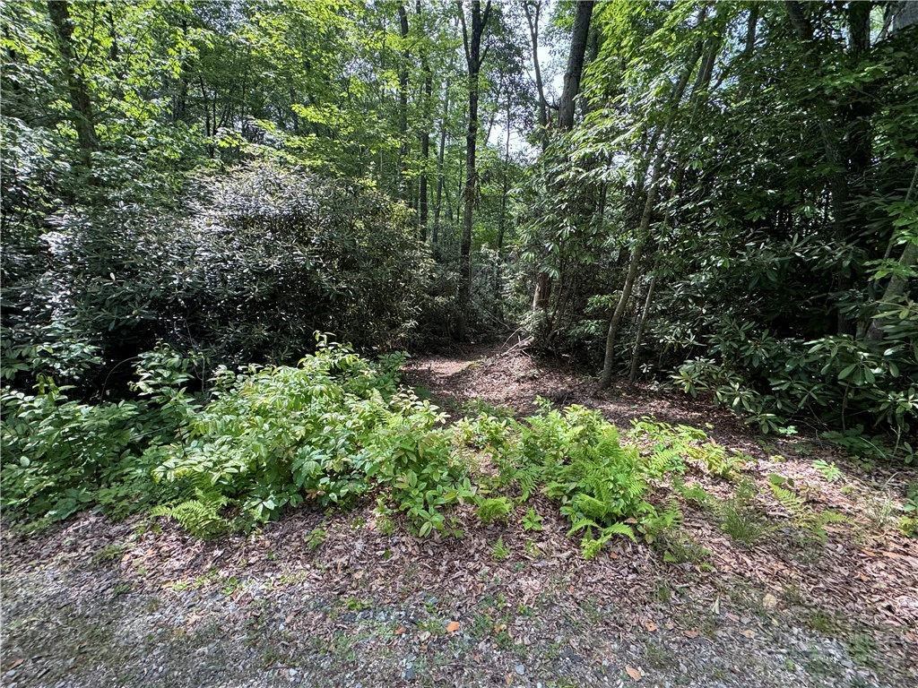 Image number 2 for the current listing