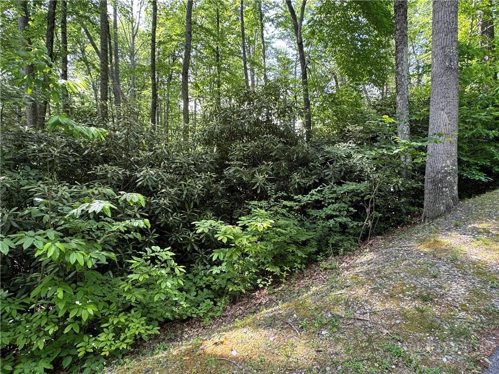 Image number 4 for the current listing
