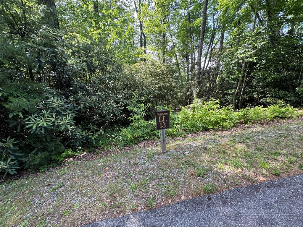 Image number 5 for the current listing