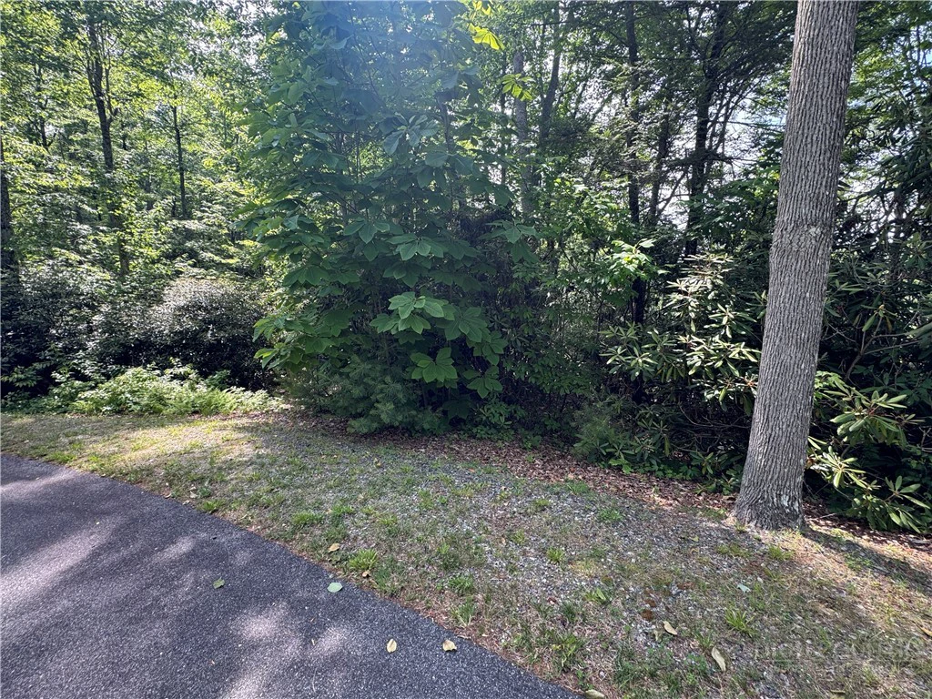 Image number 6 for the current listing