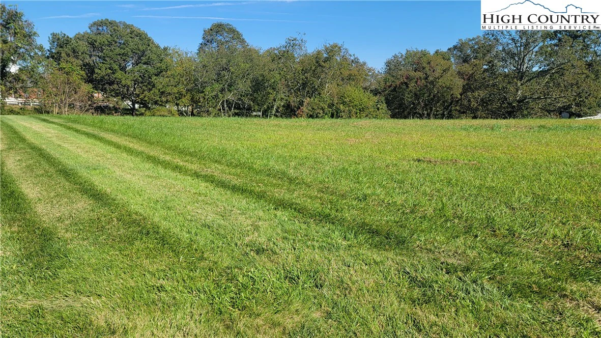 Image number 1 for the current listing