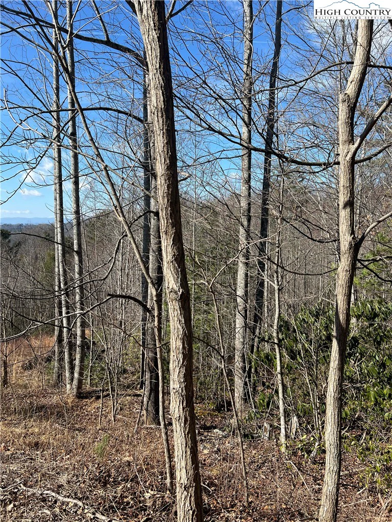 Image number 2 for the current listing