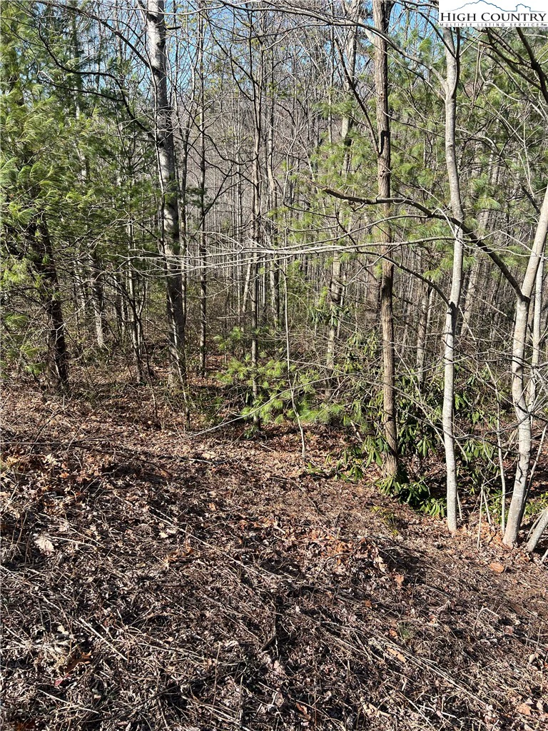 Image number 3 for the current listing