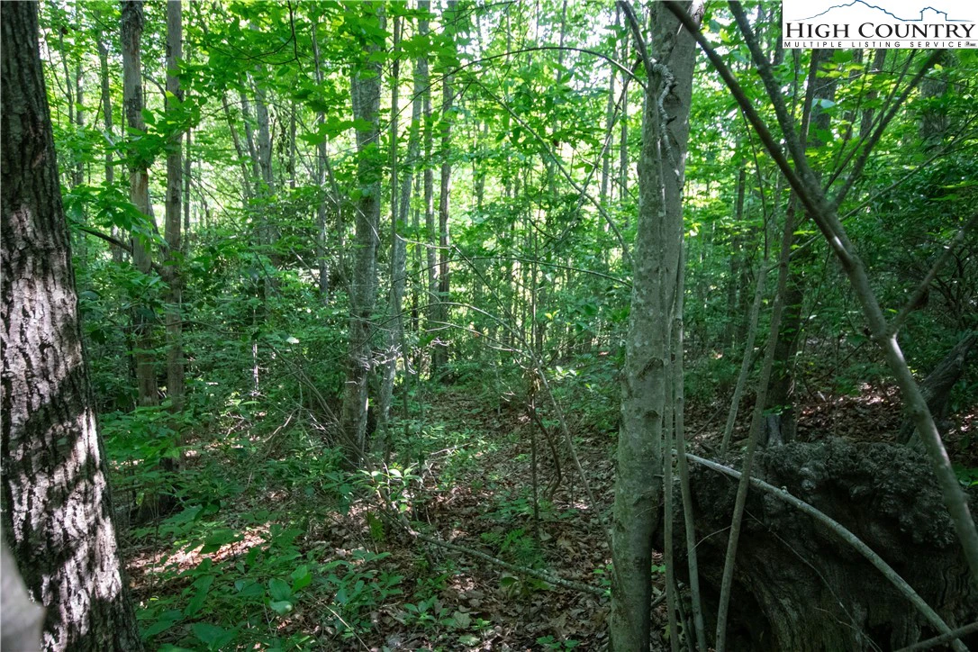 Image number 6 for the current listing