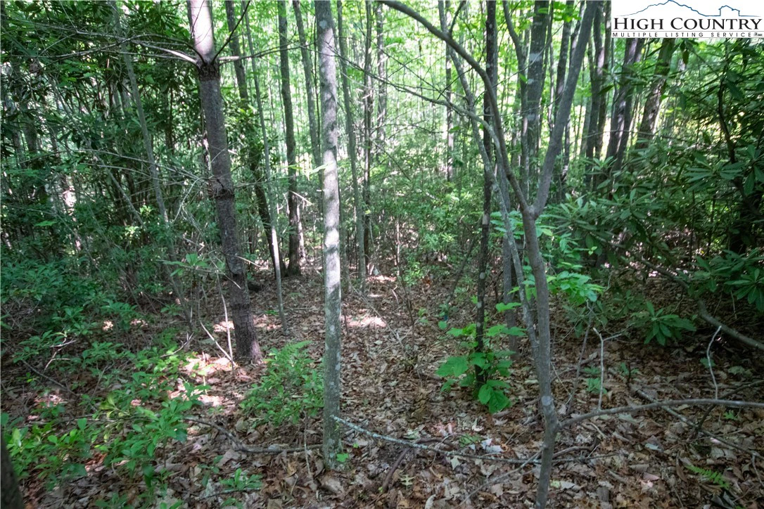 Image number 9 for the current listing