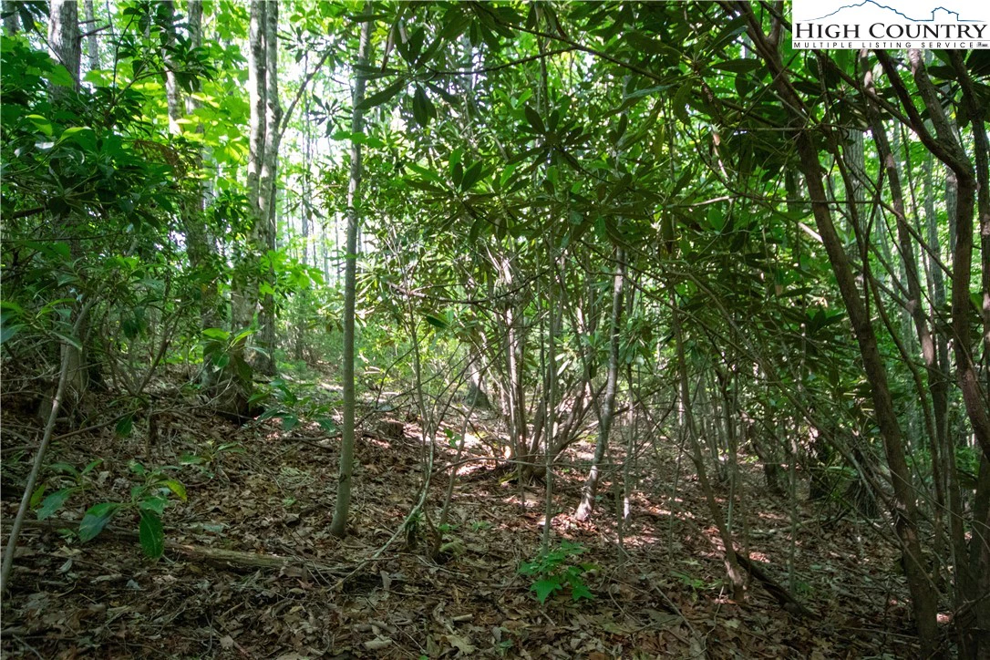 Image number 10 for the current listing