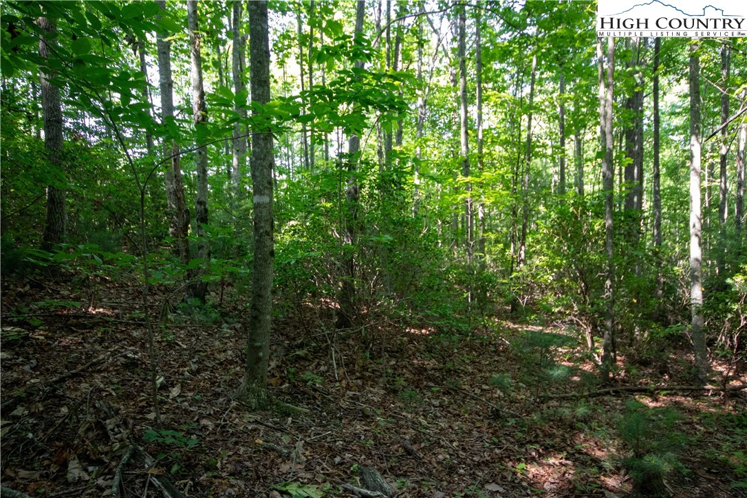 Image number 11 for the current listing