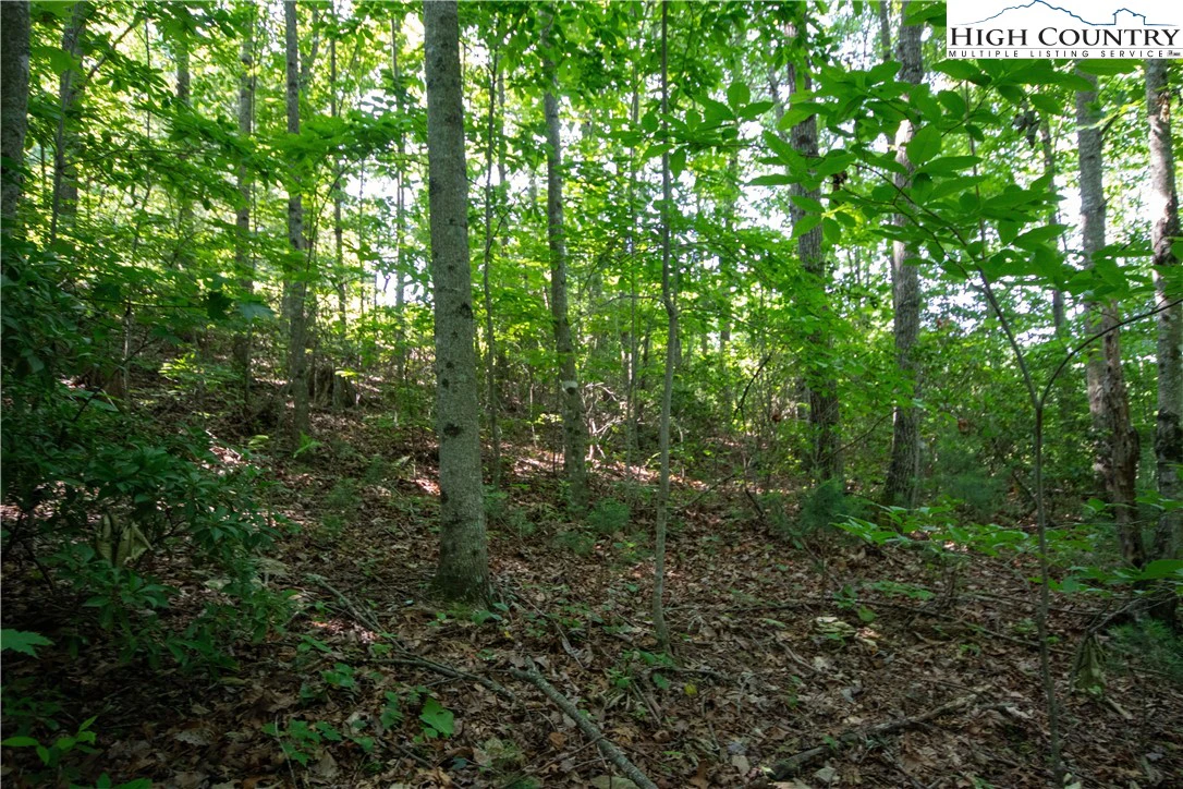 Image number 12 for the current listing