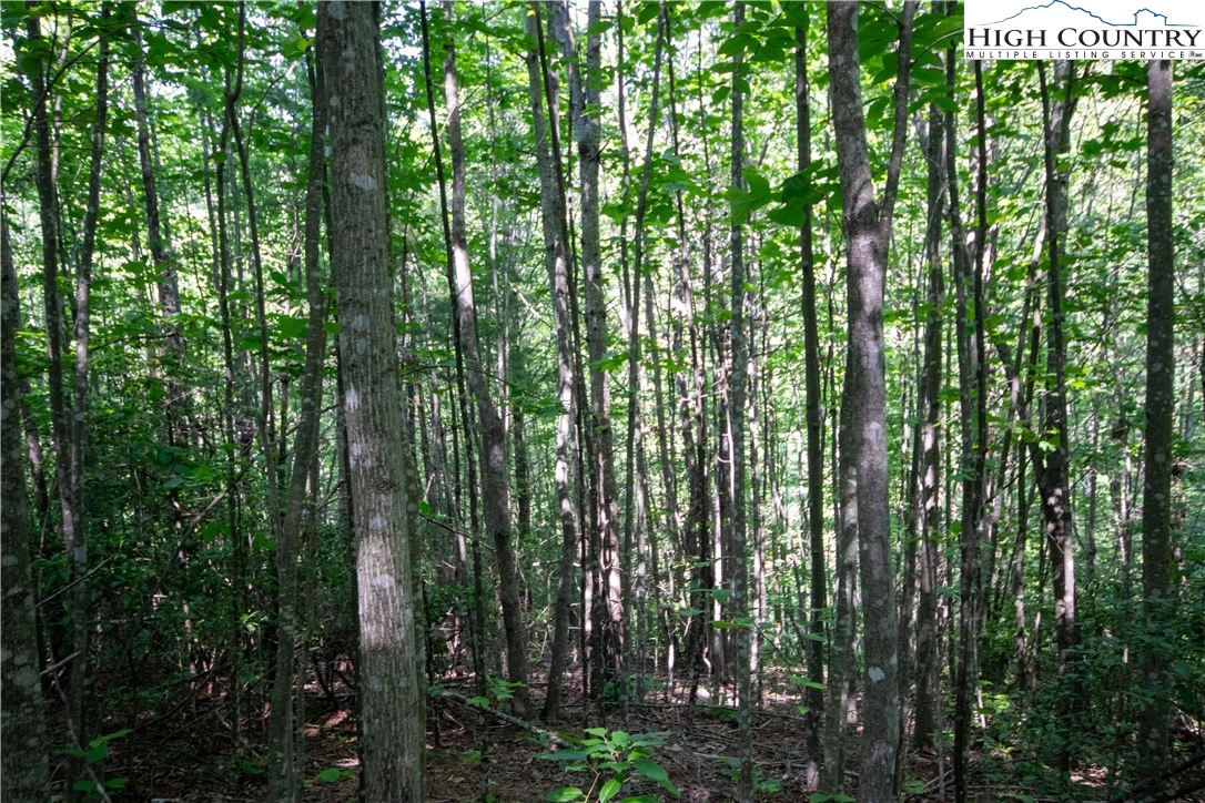 Image number 13 for the current listing