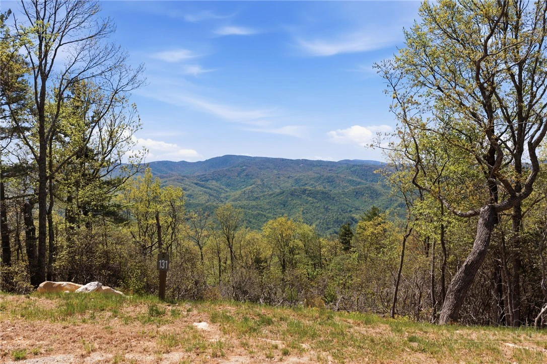 Image number 1 for the current listing