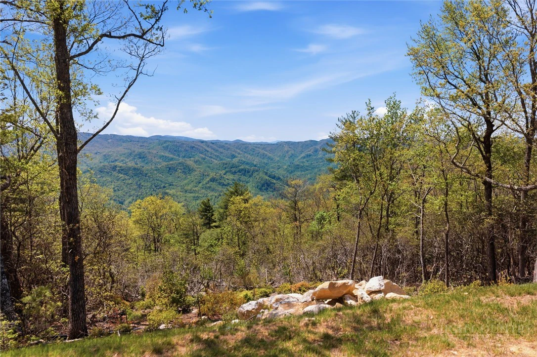Image number 18 for the current listing